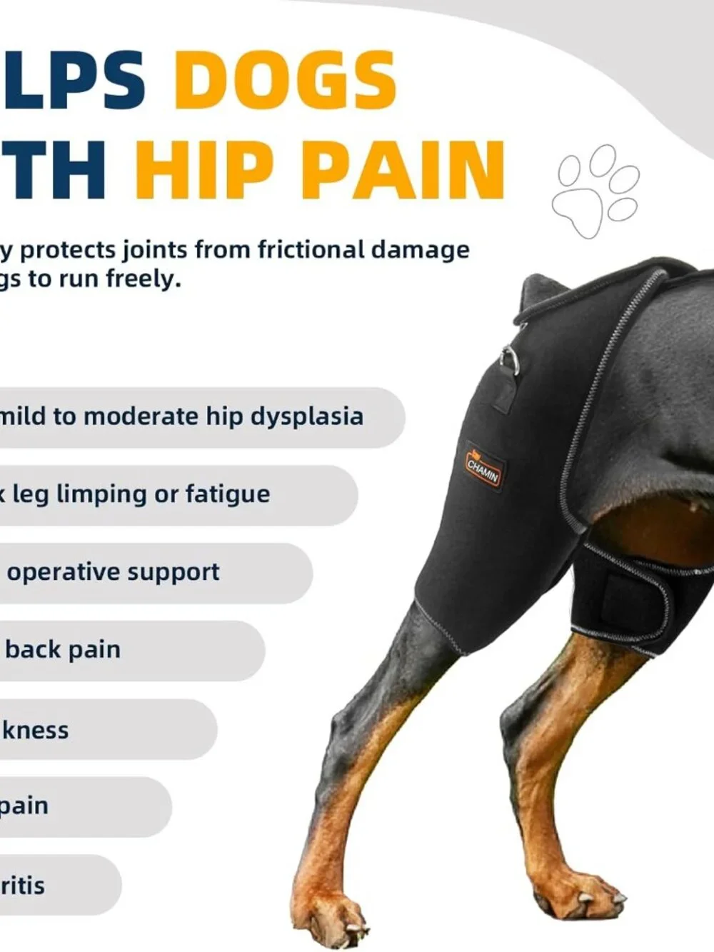 CHAMIN Dog Hip Brace with Back Handheld Design